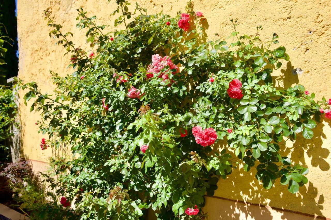 Hotel Diffuso Il Portichetto Vezio Perledo ภายนอก รูปภาพ